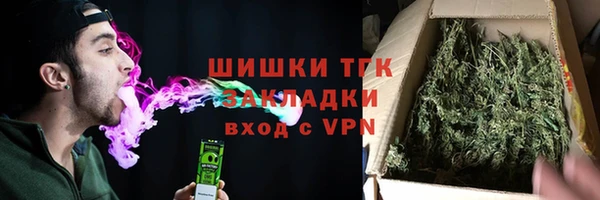 прущие грибы Арсеньев