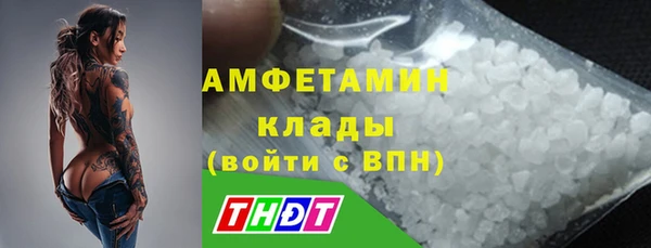 прущие грибы Арсеньев
