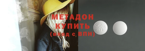 прущие грибы Арсеньев
