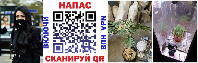 Бошки марихуана SATIVA & INDICA  купить  сайты  Реж 